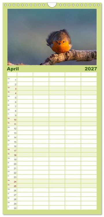 Produktbild: Familienplaner 2027 - Der Kernbei&szlig;er und seine gefiederten Gesellen mit 5 Spalten (Wandkalender, 21 x 45 cm) CALVENDO