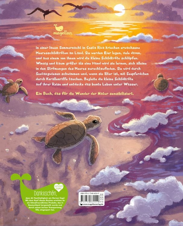 Produktbild: Die kleine Schildkr&ouml;te - Zu Hause im Meer