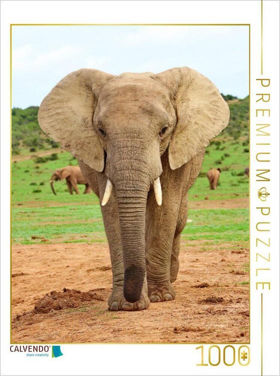 Produktbild: CALVENDO Puzzle Elefant | 1000 Teile Lege-Gr&ouml;&szlig;e 64x48cm Foto-Puzzle f&uuml;r gl&uuml;ckliche Stunden