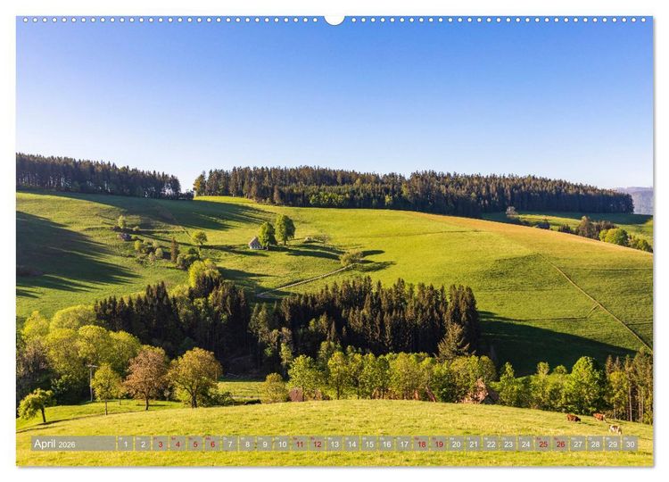 Produktbild: Ein Jahr im Schwarzwald (hochwertiger Premium Wandkalender 2026 DIN A2 quer), Kunstdruck in Hochglanz