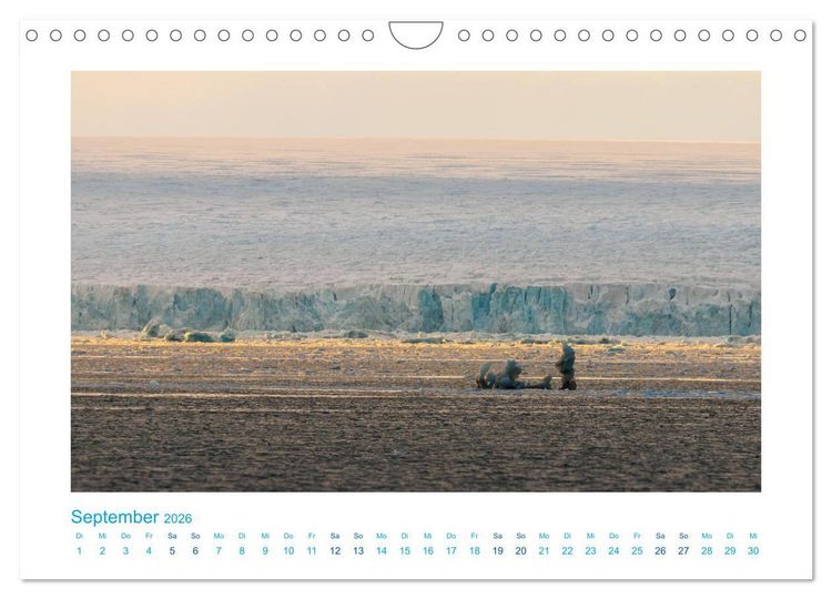 Produktbild: Spitzbergen - Landschaft - Eis - Tierwelt (Wandkalender 2026 DIN A4 quer), CALVENDO Monatskalender