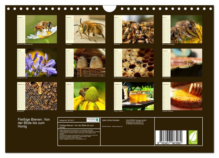 Produktbild: Flei&szlig;ige Bienen. Von der Bl&uuml;te bis zum Honig (Wandkalender 2026 DIN A4 quer), CALVENDO Monatskalender