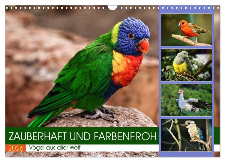 Produktbild: Zauberhaft und farbenfroh (Wandkalender 2026 DIN A3 quer), CALVENDO Monatskalender