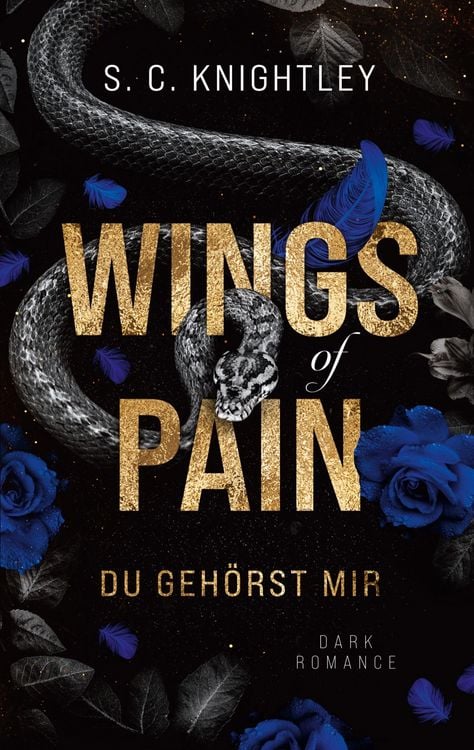 Produktbild: Wings of Pain