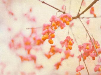 Produktbild: CALVENDO Puzzle Natursch&ouml;nheiten | 2000 Teile Lege-Gr&ouml;&szlig;e 90x67cm Foto-Puzzle f&uuml;r gl&uuml;ckliche Stunden