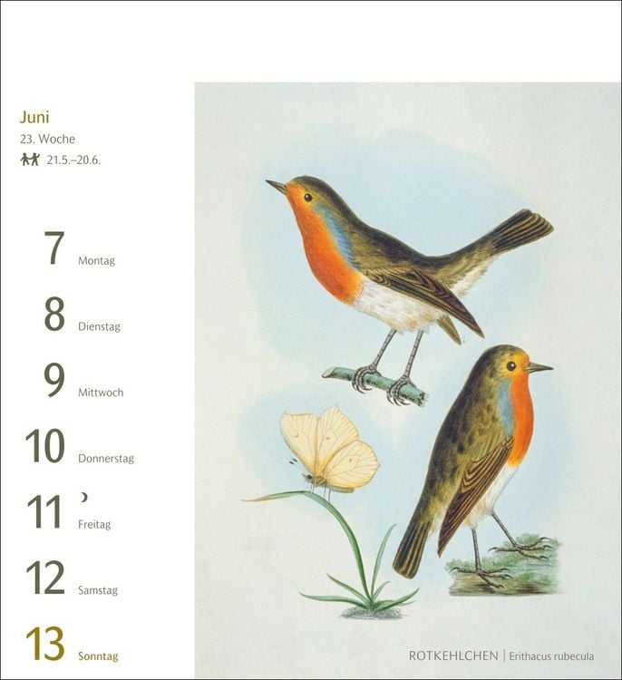Produktbild: V&ouml;gel Postkartenkalender 2027 - Postkartenkalender mit 53 historischen Zeichnungen