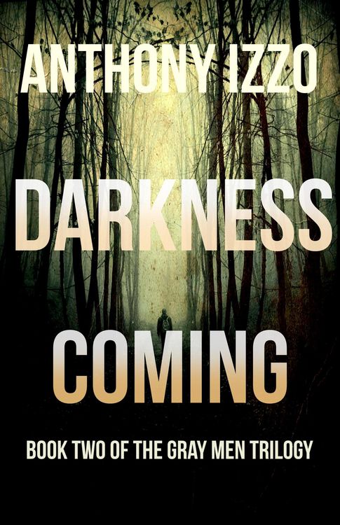 Produktbild: Darkness Coming (The Gray Men Trilogy, Book Two)