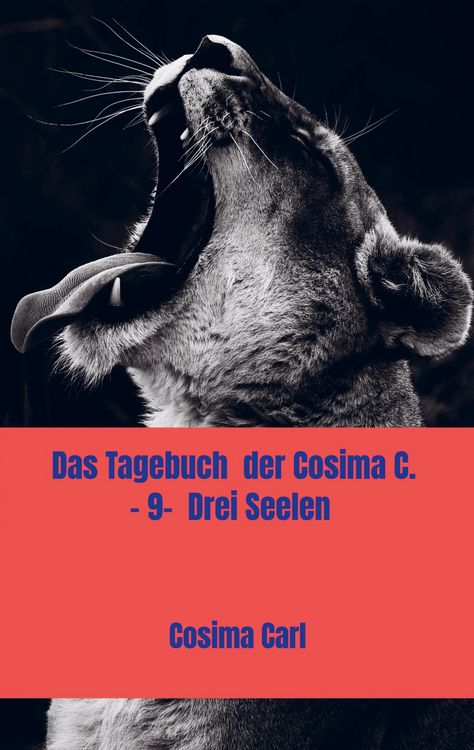 Produktbild: Das Tagebuch der Cosima C. - 9- Drei Seelen