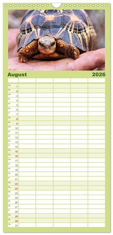 Produktbild: Familienplaner 2026 - Tiere Madagaskars mit 5 Spalten (Wandkalender, 21 x 45 cm) CALVENDO