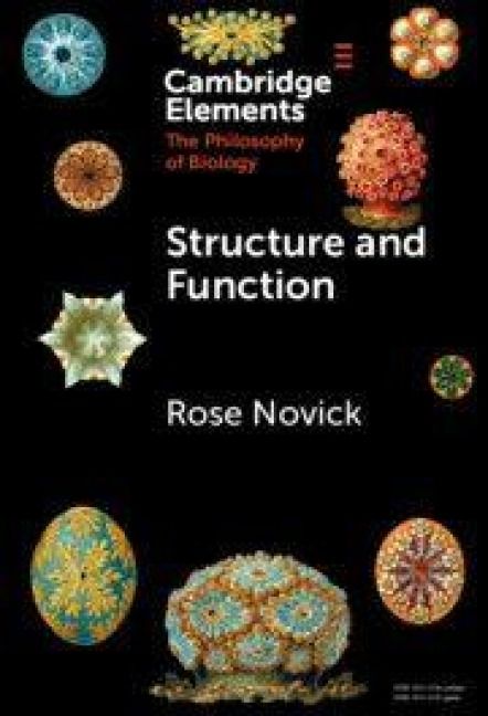 Produktbild: Structure and Function