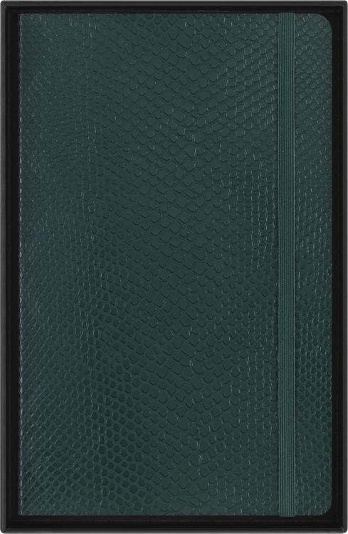 Produktbild: Moleskine Vegea Boa Notizbuch A5 liniert Kt gr&uuml;n in Box