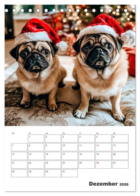Produktbild: MOPS Pfotengl&uuml;ck in Faltenform (Tischkalender 2026 DIN A5 hoch), CALVENDO Monatskalender
