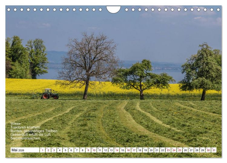 Produktbild: Mit Elfchen durch das Jahr (Wandkalender 2026 DIN A4 quer), CALVENDO Monatskalender