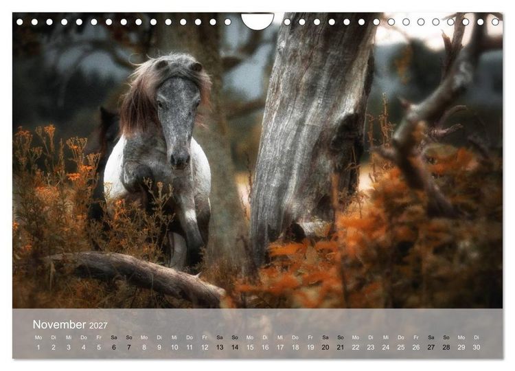 Produktbild: Pferde - Anmut und St&auml;rke gepaart mit Magie (Wandkalender 2027 DIN A4 quer), CALVENDO Monatskalender
