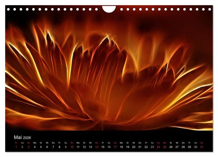 Produktbild: Floral Abstrakt 2026 (Wandkalender 2026 DIN A4 quer), CALVENDO Monatskalender