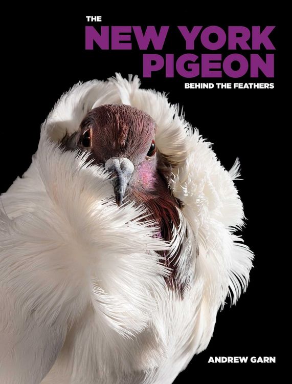 Produktbild: The New York Pigeon