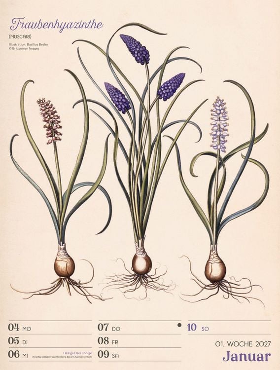 Produktbild: Ars Floralis Wochenplaner Kalender 2027