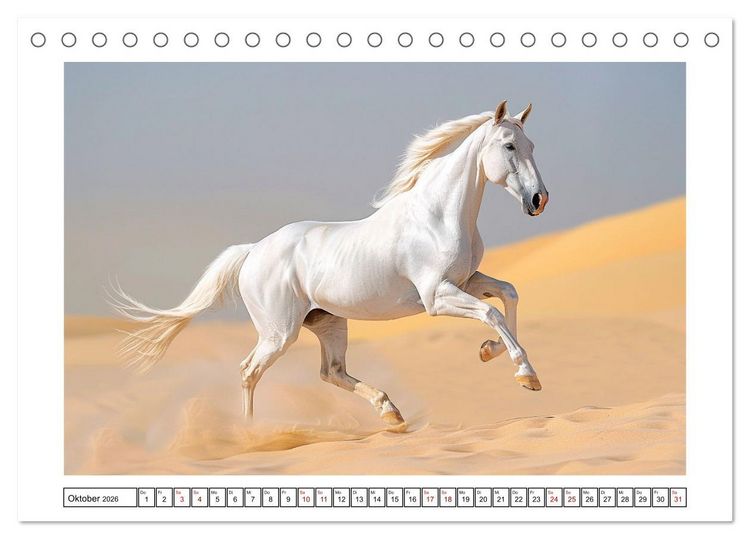 Produktbild: Bezaubernde Eleganz wei&szlig;er Pferde (Tischkalender 2026 DIN A5 quer), CALVENDO Monatskalender