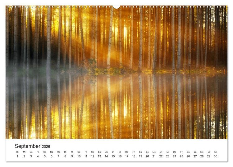 Produktbild: Lichtmomente - Fotografien, die in einem besonderen Licht erstrahlen. (hochwertiger Premium Wandkalender 2026 DIN A2 quer), Kunstdruck in Hochglanz