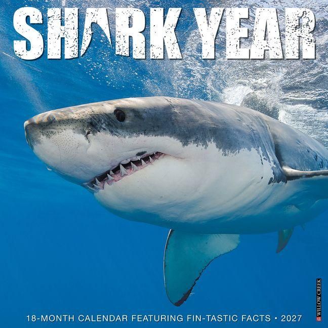 Produktbild: Shark Year 2027 12 X 12 Wall Calendar