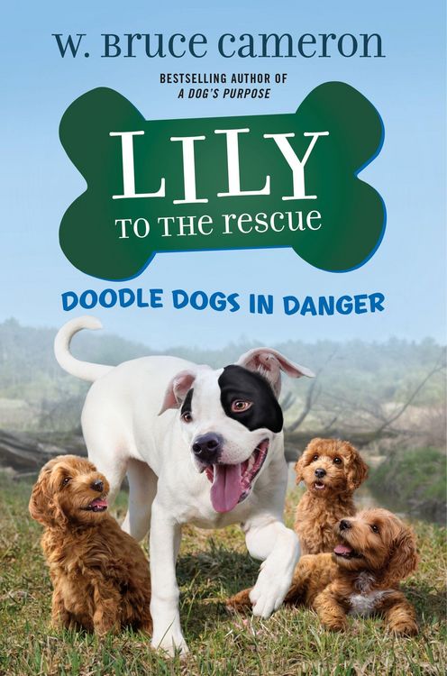 Produktbild: Lily to the Rescue: Doodle Dogs in Danger
