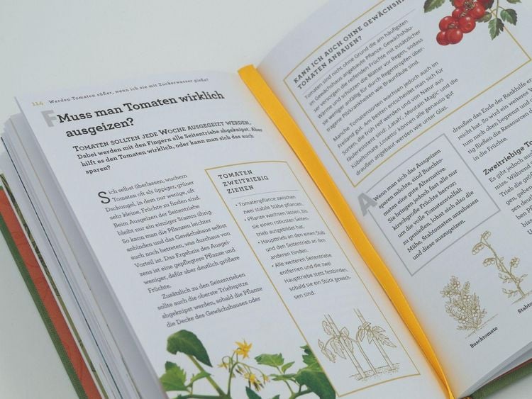 Produktbild: Werden Tomaten s&uuml;&szlig;er, wenn ich sie mit Zuckerwasser gie&szlig;e und kann ich mein Unkraut einfach aufessen?
