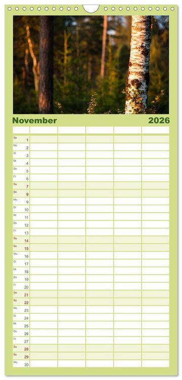 Produktbild: Familienplaner 2026 - Wald mit 5 Spalten (Wandkalender, 21 x 45 cm) CALVENDO
