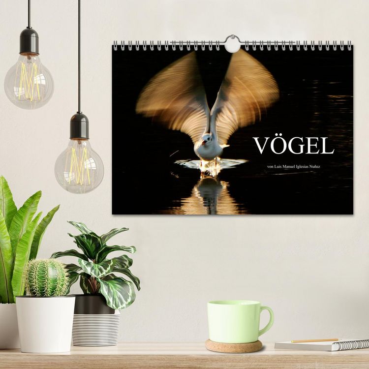 Produktbild: V&Ouml;GEL (Wandkalender 2026 DIN A4 quer), CALVENDO Monatskalender