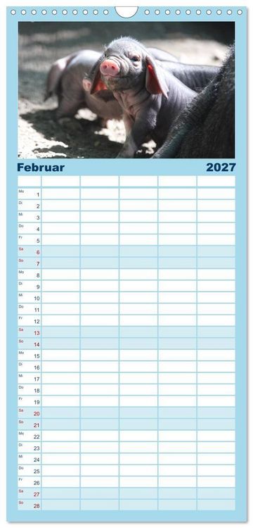 Produktbild: Familienplaner 2027 - Tierische Schweinerei mit 5 Spalten (Wandkalender, 21 x 45 cm) CALVENDO
