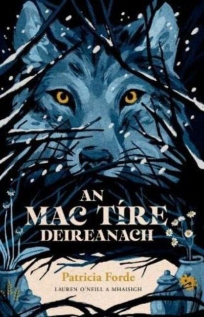 Produktbild: An Mac Tire Deireanach