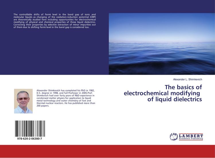 Produktbild: The basics of electrochemical modifying of liquid dielectrics