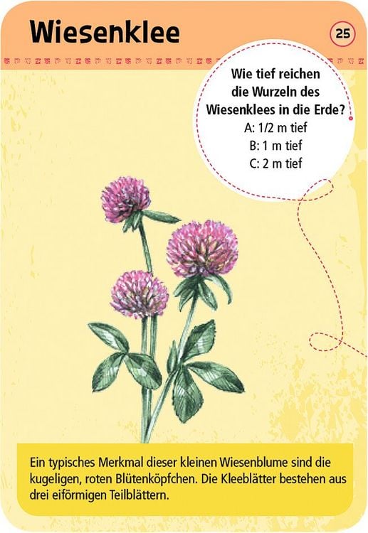 Produktbild: Expedition Natur - 50 heimische Blumen