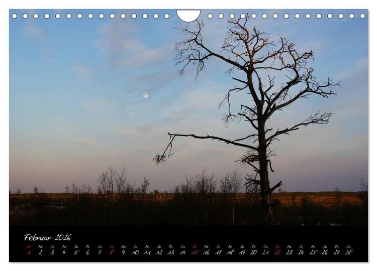 Produktbild: Im Goldenstedter Moor (Wandkalender 2026 DIN A4 quer), CALVENDO Monatskalender