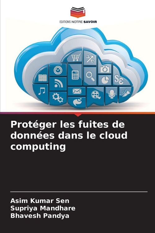 Produktbild: Prot&eacute;ger les fuites de donn&eacute;es dans le cloud computing