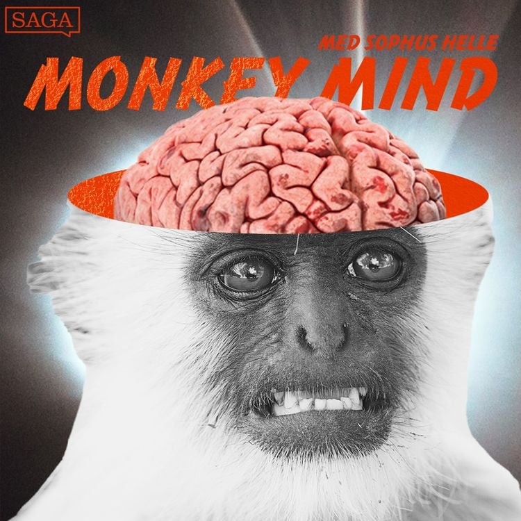 Produktbild: Monkey Mind