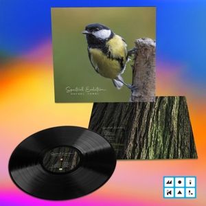 Produktbild: Spectral Evolution