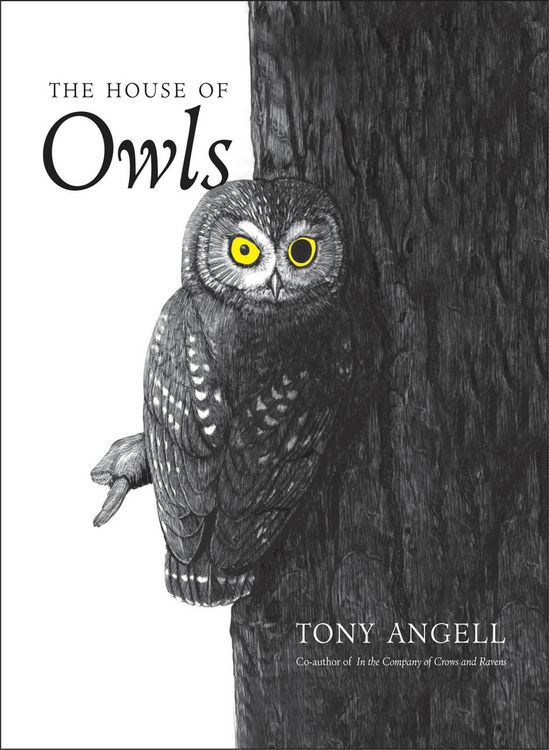 Produktbild: The House of Owls