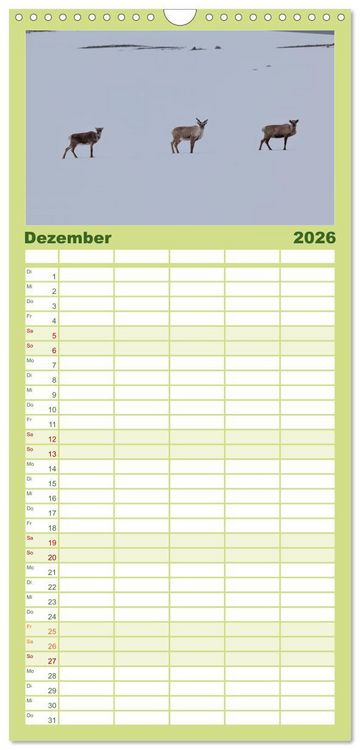 Produktbild: Familienplaner 2026 - Tierkalender 2026 mit 5 Spalten (Wandkalender, 21 x 45 cm) CALVENDO