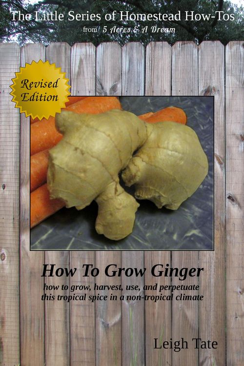 Produktbild: How To Grow Ginger: How To Grow, Harvest, Use, and Perpetuate This Tropical Spice in a Non-tropical Climate