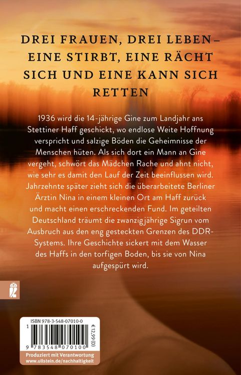 Produktbild: Unter dem Moor