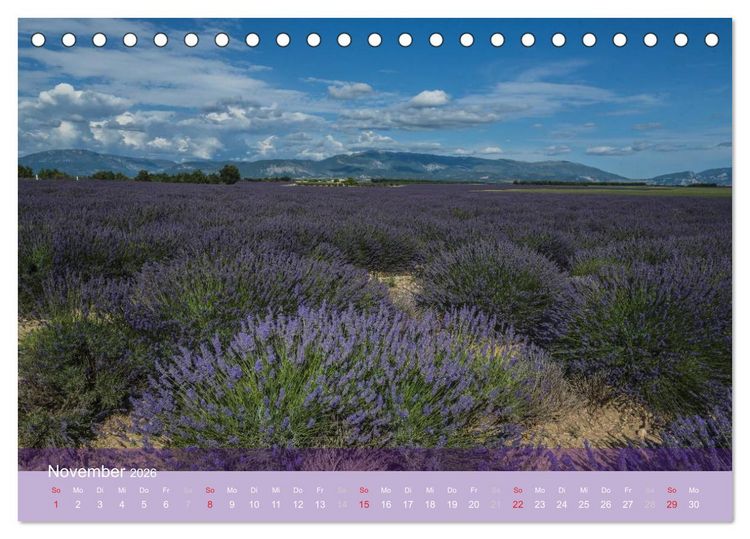 Produktbild: Die Farbe des Lavendels (Tischkalender 2026 DIN A5 quer), CALVENDO Monatskalender