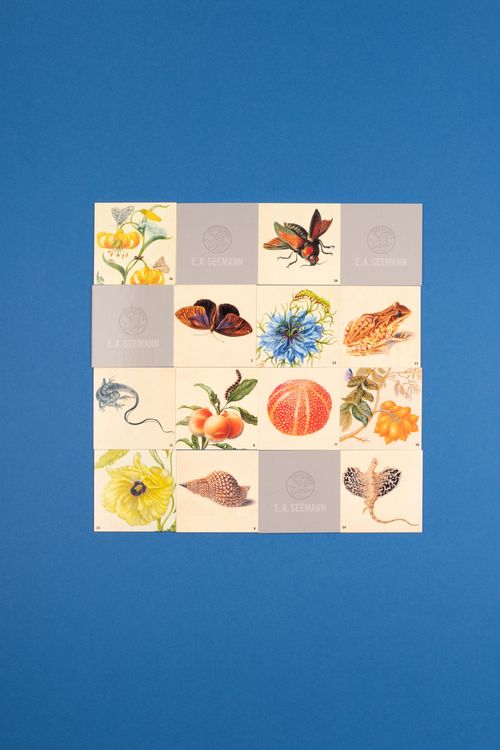Produktbild: Maria Sibylla Merian. Memo