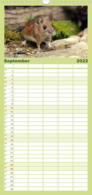 Produktbild: Familienplaner ... hier kommt die Maus ... (Wandkalender 2022 , 21 cm x 45 cm, hoch)