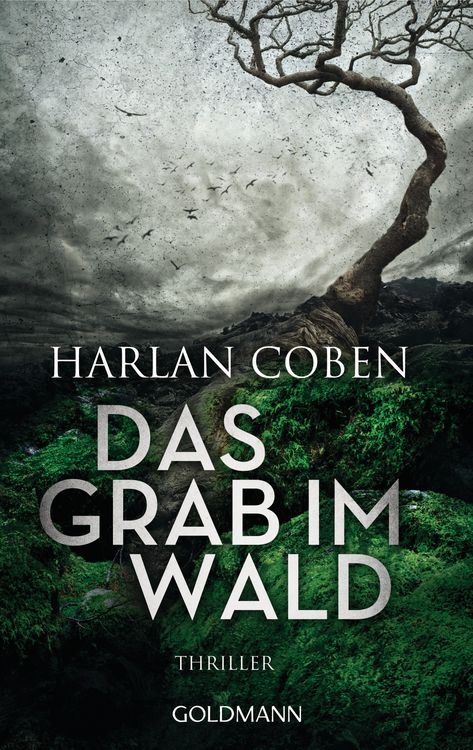 Produktbild: Das Grab im Wald