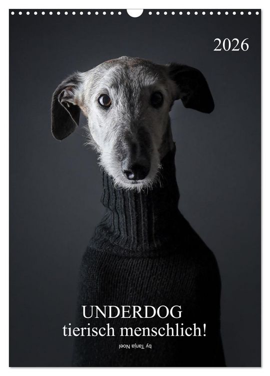 Produktbild: UNDERDOG - Windhundportraits (Wandkalender 2026 DIN A3 hoch), CALVENDO Monatskalender