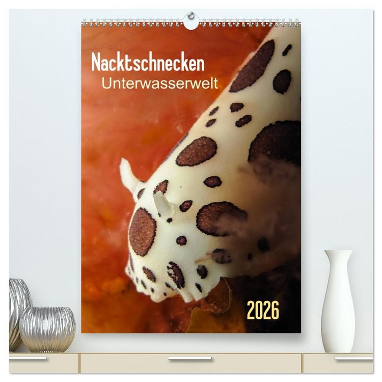 Produktbild: Nacktschnecken - Unterwasserwelt 2026 (hochwertiger Premium Wandkalender 2026 DIN A2 hoch), Kunstdruck in Hochglanz