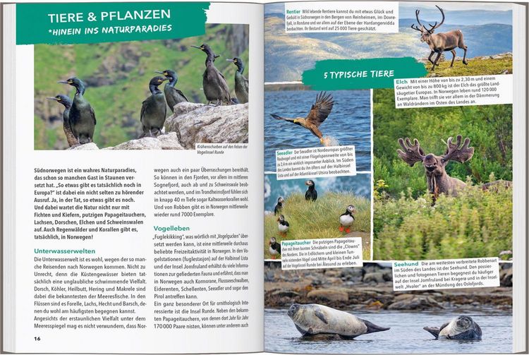 Produktbild: Reisef&uuml;hrer Norwegen