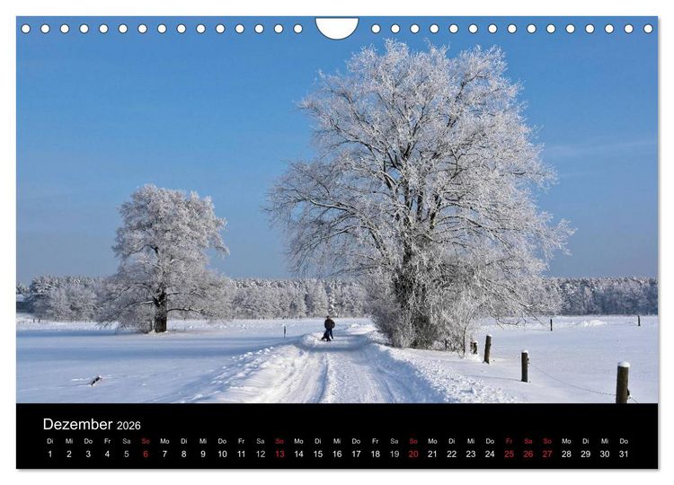 Produktbild: Baum-Variationen (Wandkalender 2026 DIN A4 quer), CALVENDO Monatskalender