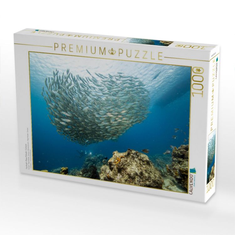 Produktbild: CALVENDO Puzzle Fischball - Playa Piskado - Cura&ccedil;ao | 1000 Teile Lege-Gr&ouml;&szlig;e 64x48cm Foto-Puzzle f&uuml;r gl&uuml;ckliche Stunden