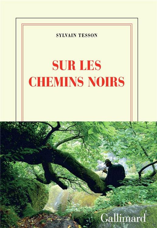 Produktbild: Tesson, S: Sur les chemins noirs